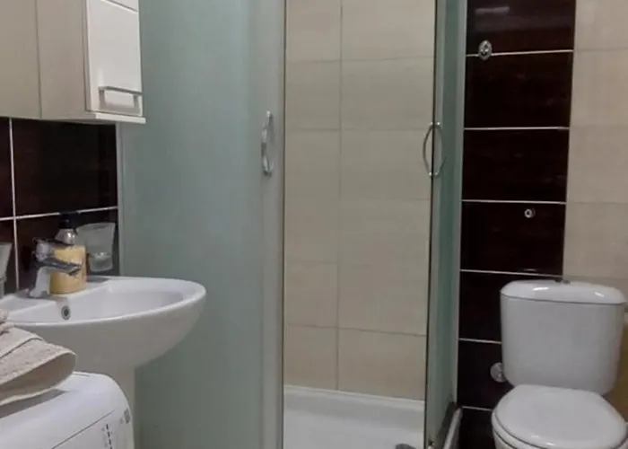 Agava * Нови-Сад